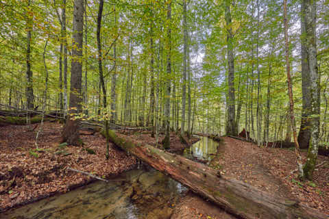 Gemeinde Bayerisch_Eisenstein Landkreis Regen Hans-Watzlik-Hain Kanal (Dirschl Johann) Deutschland REG